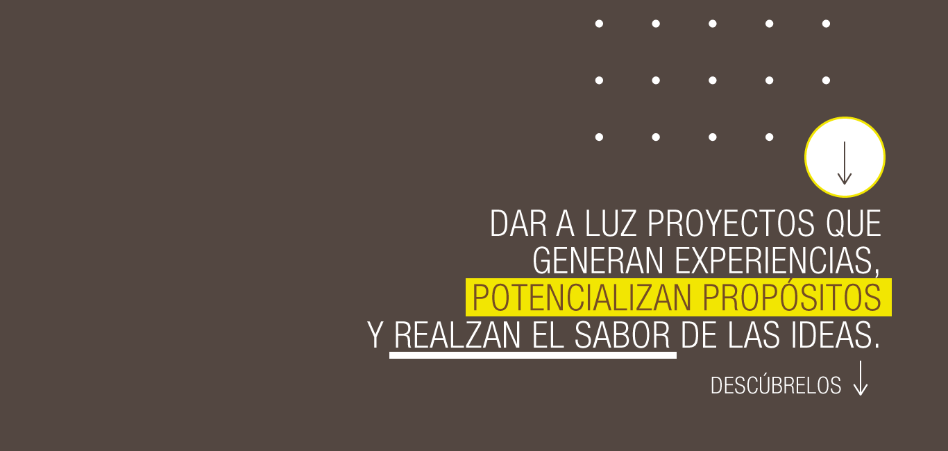 CINCO DE SAL PROPOSITO